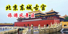 看操真人的大逼中国北京-东城古宫旅游风景区